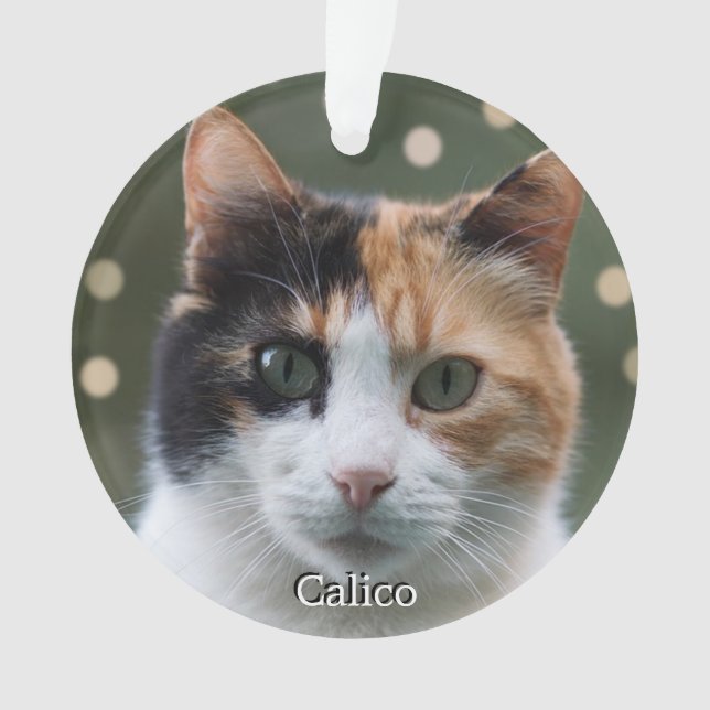 Photo personnalisé de chat calico personnalisé (devant)