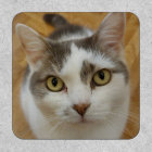 Photo personnalisée