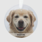 Photo personnalisée d'animal familier de chiot