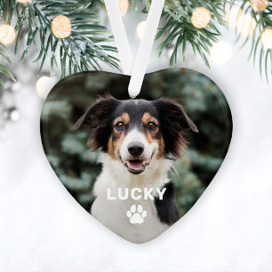 Photo personnalisée de chien avec empreinte de pat
