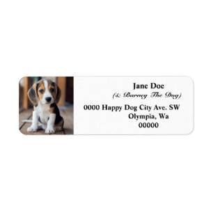 Photo personnalisée de chien de compagnie Adresse