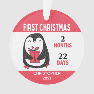 Photo personnalisée Pingouin Baby's First Christma