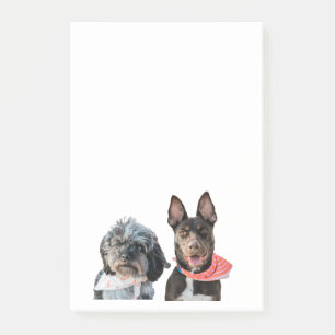 PHOTO PERSONNALISÉE POST-IT notes
