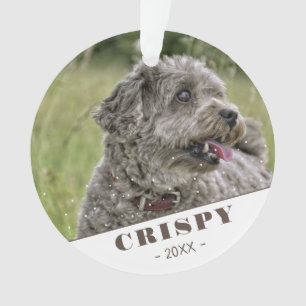 Photo personnalisée sur mesure de chien animal de
