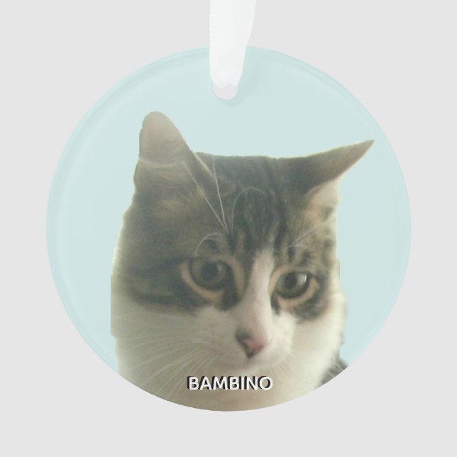 Photo personnalisée Tabby Cat sur mesure sur bleu  (devant)