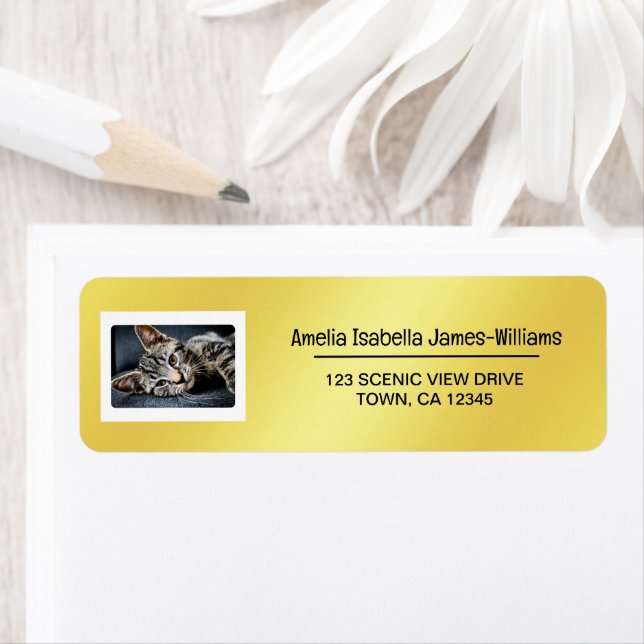 Photo Pet Cat Elégant Moderne Adresse de retour Go (En situation)