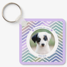photo pet lovers modern stripes love dogs