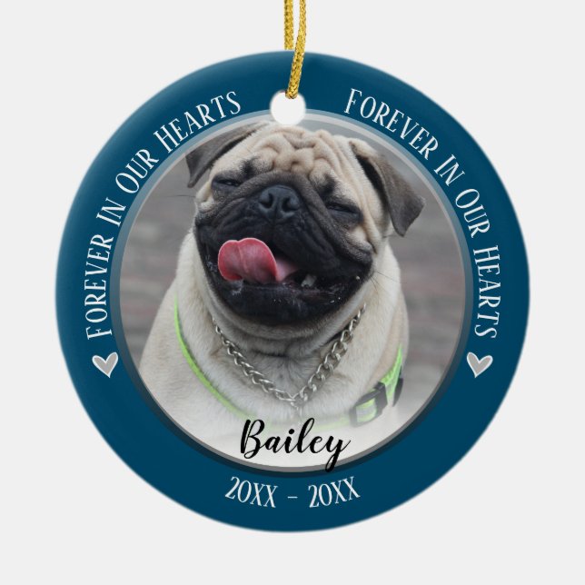 Photo Pet Memorial Keepsake Ornament (Front)