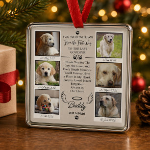 Photo Pet Memorial Remembrance Keepsake Portraits Metal Ornament