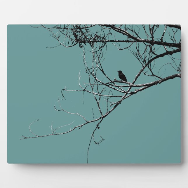 Photo Petite plaque d'oiseaux noirs (Devant)