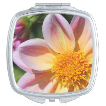 photo pink flower, bright yellow-