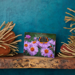 Photo Plaque à papillon Art déco
