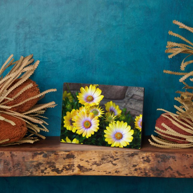 Photo Plaque Art Décor (Côté)