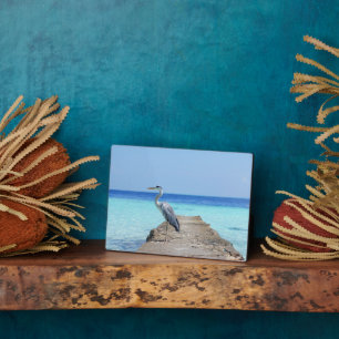Photo Plaque Art Décor Sea Bird