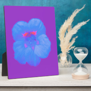 Photo Plaque bleu clair Nasturtium