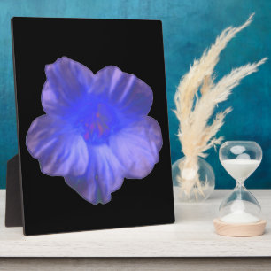 Photo Plaque bleue de fleurs de Nasturtium