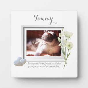 Photo Plaque commémorative inoubliable pour animaux de c