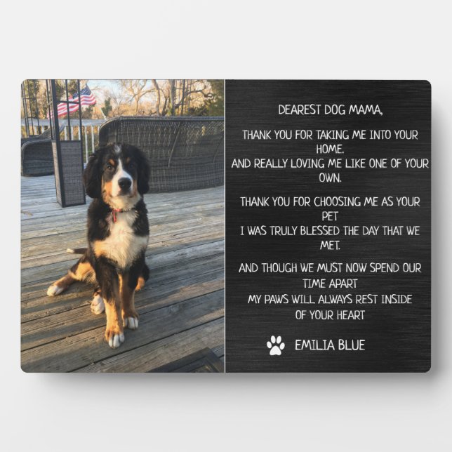 Photo Plaque commémorative pour animal de compagnie en s (Devant)