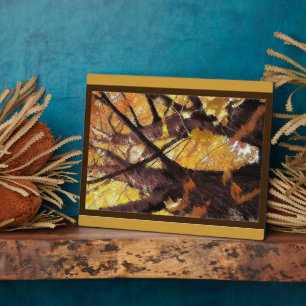 Photo Plaque d'affichage Trunks d'arbre