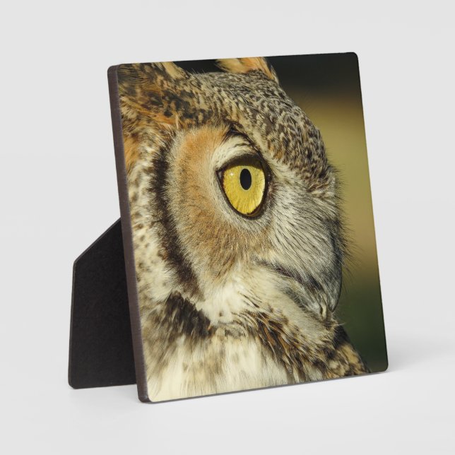 Photo Plaque de bureau Great Horned Owl (Recto)