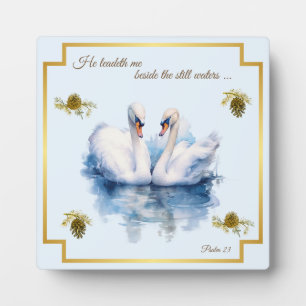 Photo Plaque De Cygne Vingt Troisième Psaume Il Me Dirig