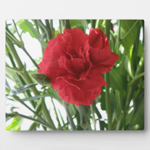 Photo Plaque de la nation rouge