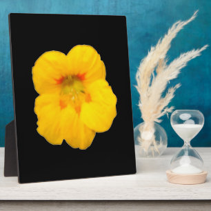 Photo Plaque de Nasturtium Jaune