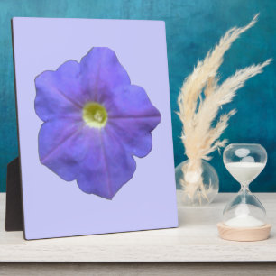 Photo Plaque de Petunia bleue