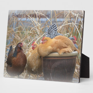 Photo Plaque de poulet