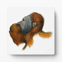 Plaque de table Orangoutan avec de l'Easel