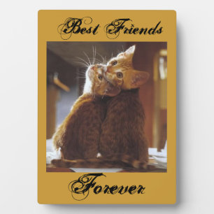 Photo Plaque des meilleurs amis