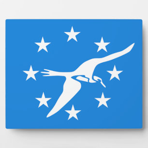 Photo Plaque drapeau de la ville de Corpus Christi