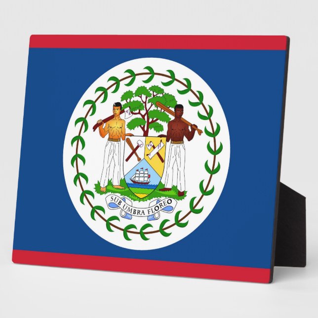 Photo Plaque drapeau du Belize (Côté)