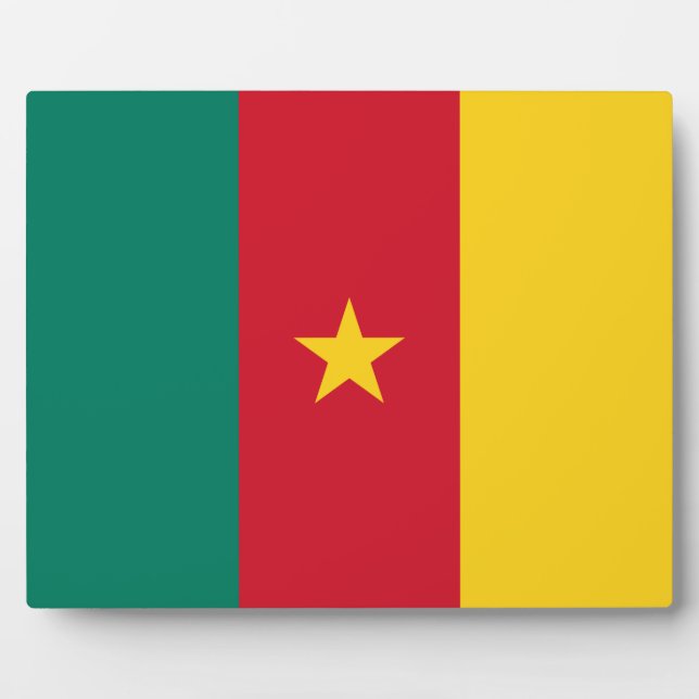 Photo Plaque du drapeau du Cameroun (Devant)