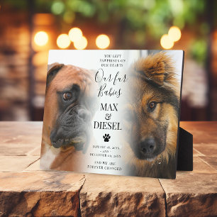 Photo Plaque Funéraire pour 2 Animaux de Compagnie Chics