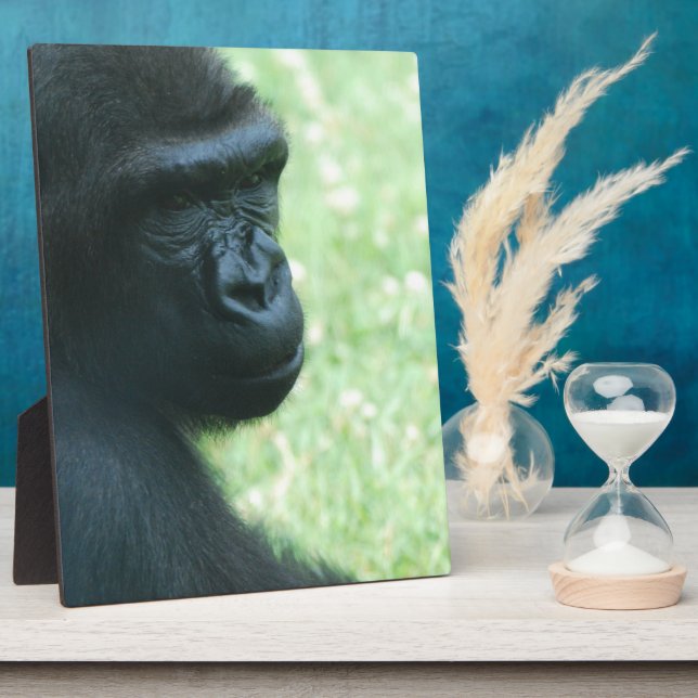 Photo Plaque Gorilla Gaze (Côté)