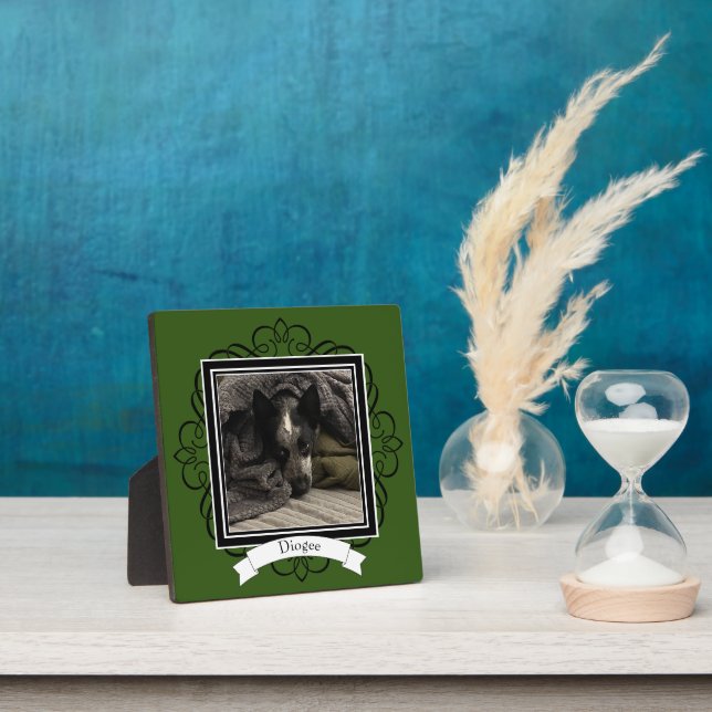 Photo Plaque in any colour (Insitu)