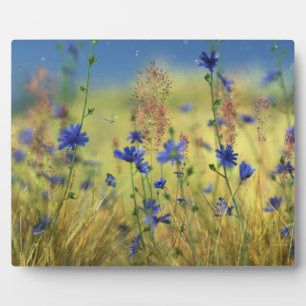 Photo Plaque saphir et or