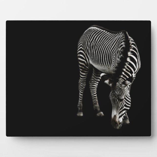 Photo Plaque Zebra P4435 (Devant)