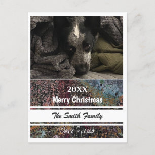 Photo Post Card  - HAMbyWG