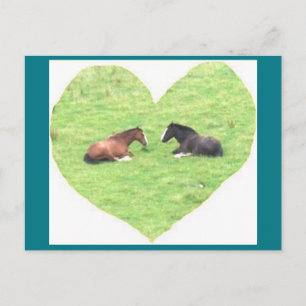 Photo Postcard 5 Horse Love - Natural Beauty