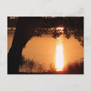 Photo Postcard - Customized