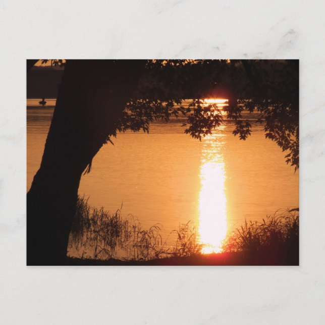 Photo Postcard - Customized (Front)