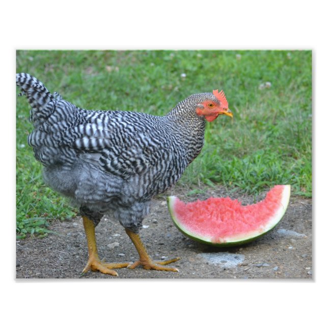 Photo Poulet de pastèque (Devant)