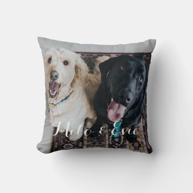 Photo pour animaux de compagnie moderne Coussin de (Recto)