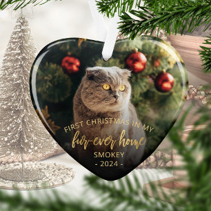 Photo pour animaux First Christmas Forever Home Sc