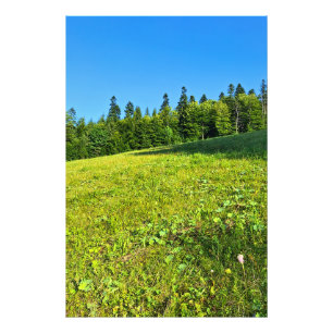 Photo Prairie verte des Carpates – Impression de montagn