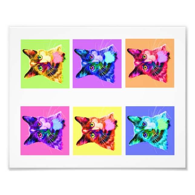 Photo print 8x10" rainbow/white cat portrait (Front)