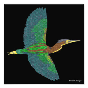 Photo Print - Green Heron (black)