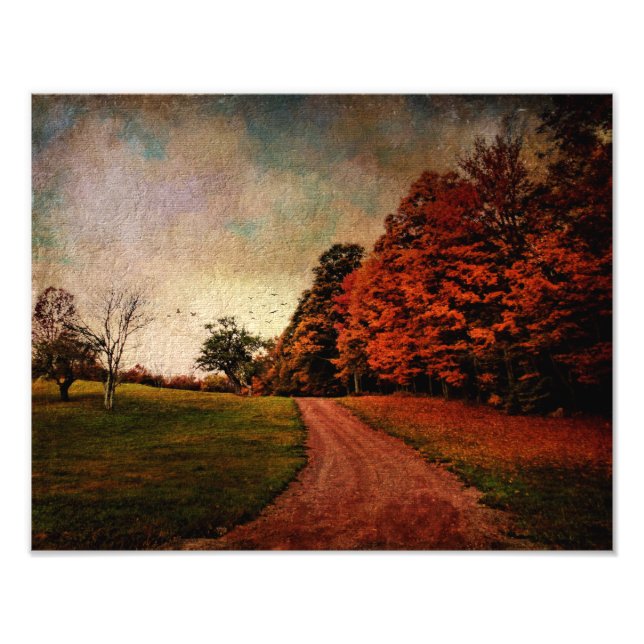 Photo Print-Mere Colour (Front)